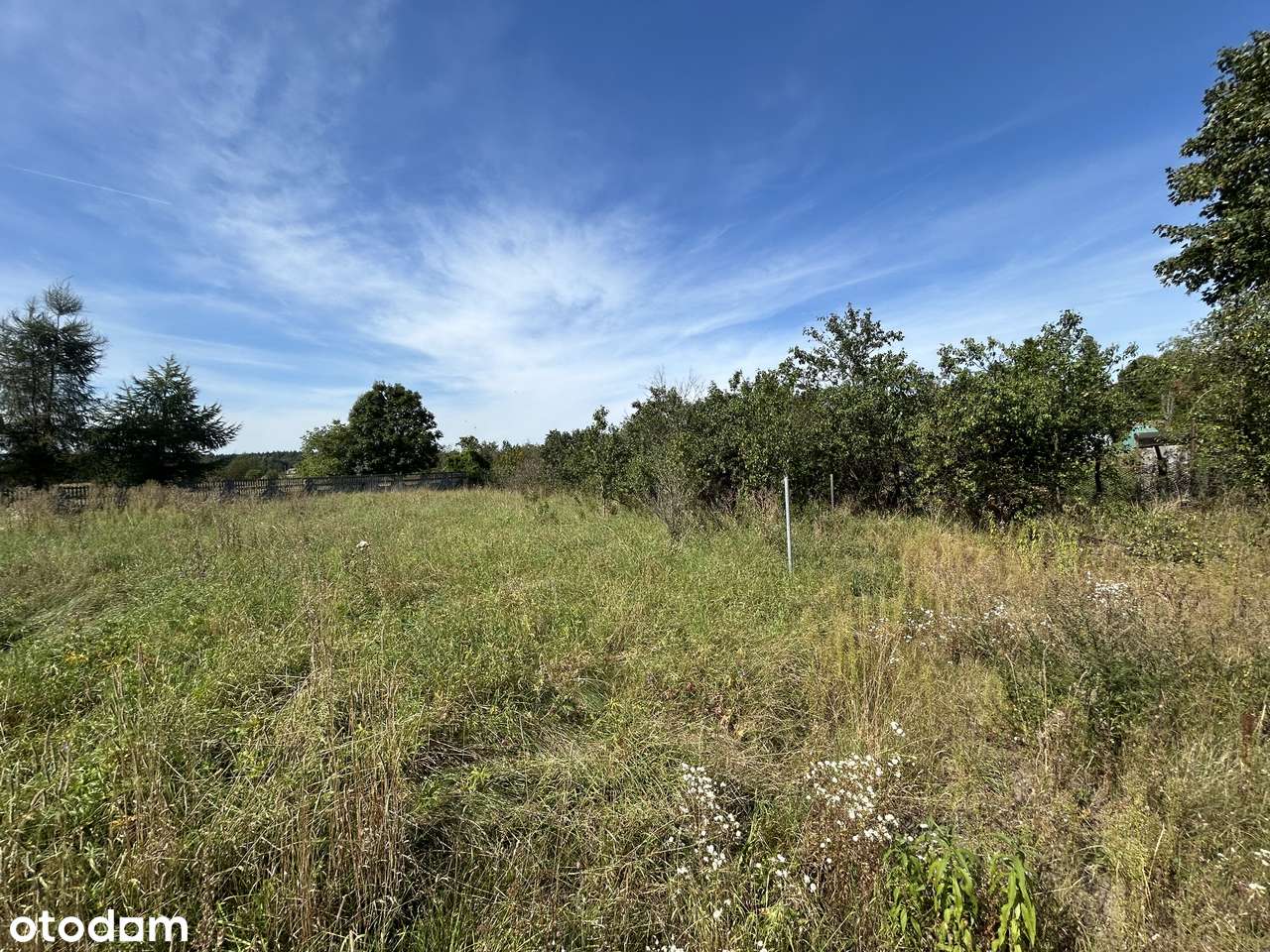 Działka inwestycyjna w Chechle!-4