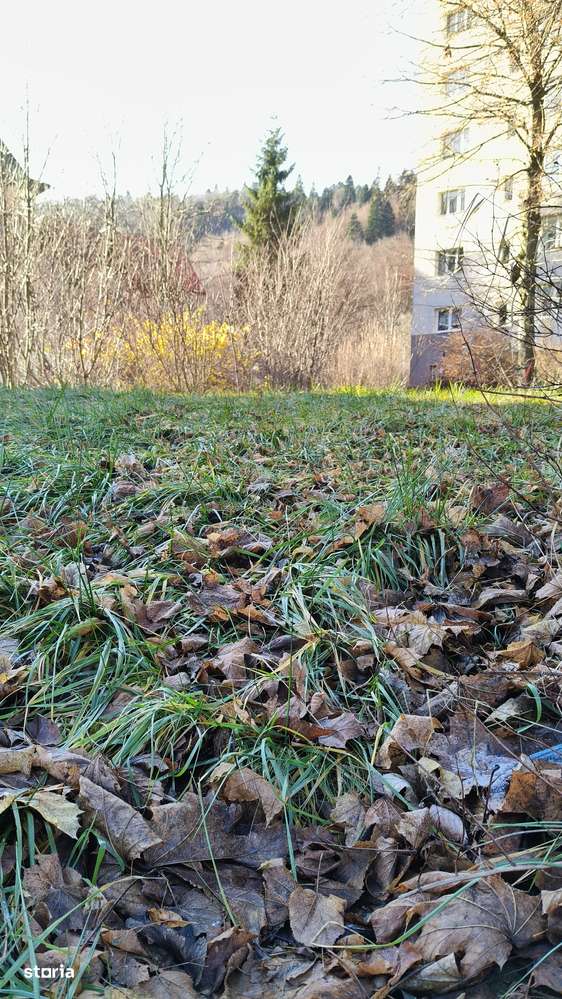 Vânzare 800mp, acces asfaltat-Proiect cu autorizatie de construire-1