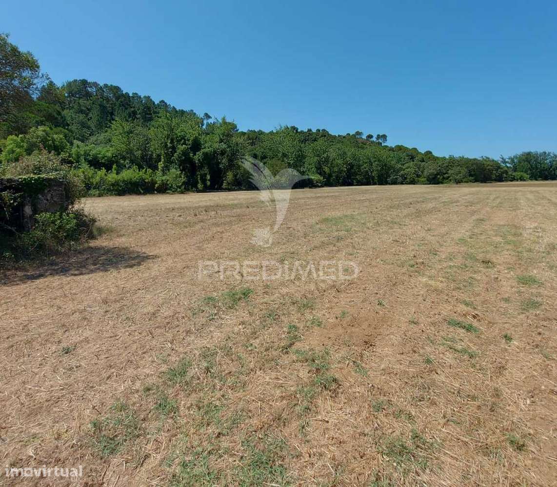 Terreno Rústico, Agricultura de Regadio, Pernes, Santarém. - Grande imagem: 5/12