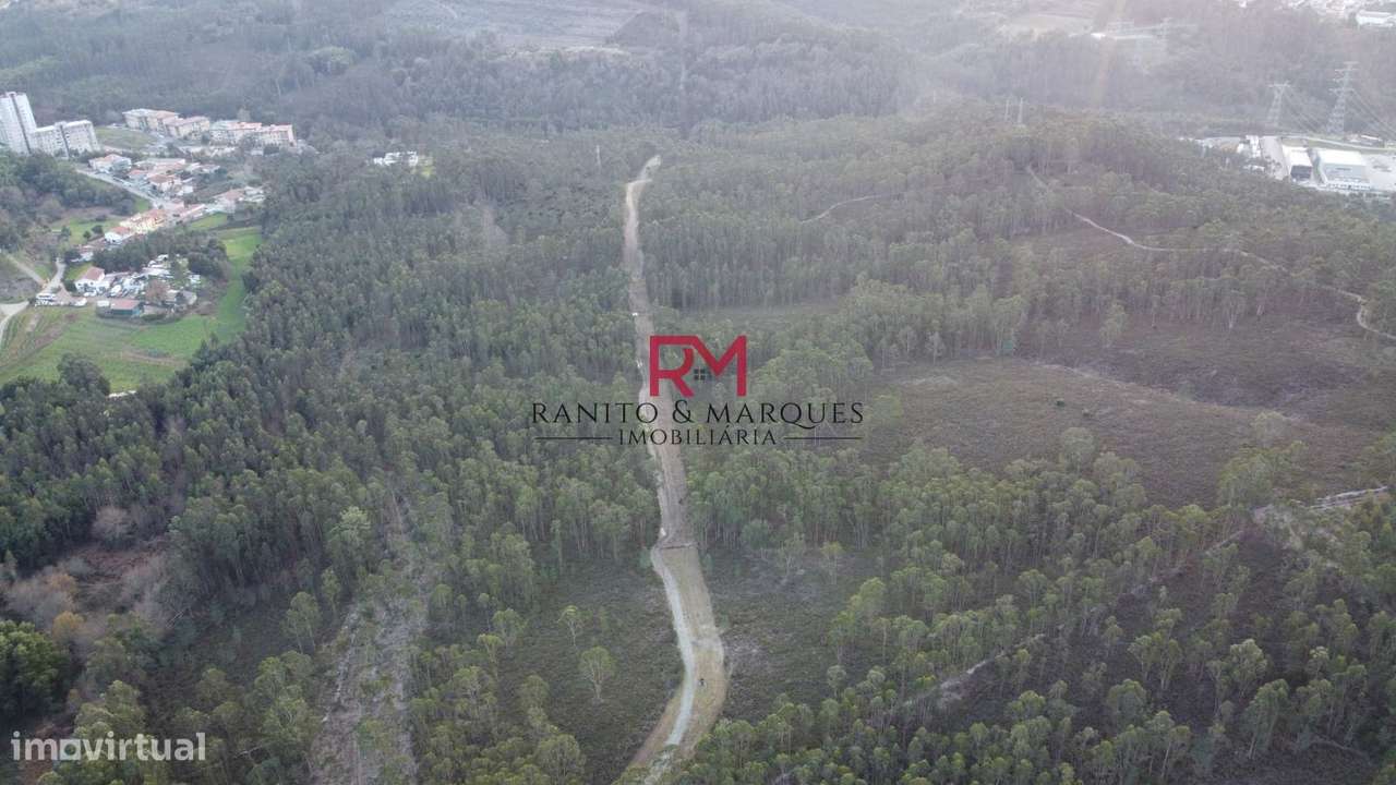 TERRENO RÚSTICO | VALONGO, ZONA "CABEDA"-5