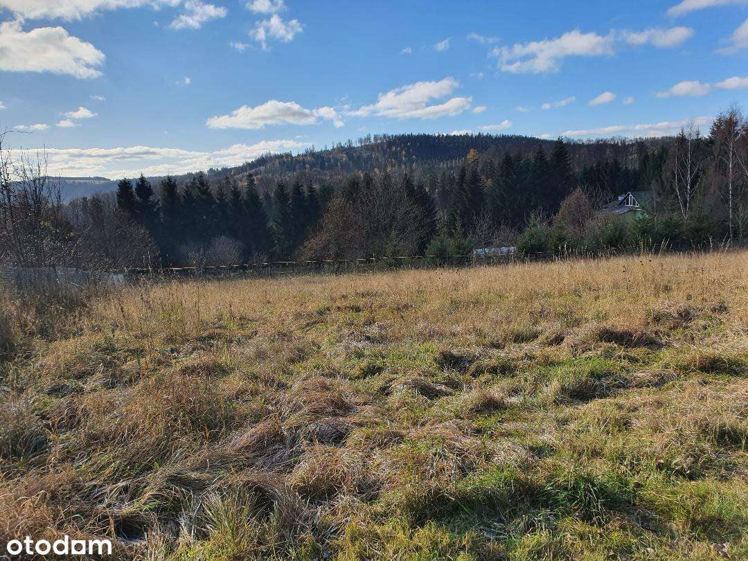 Dzialka budowlana Góry Sowie, sprzedaż od prywatnej osoby - Pełny obrazek: 2/5