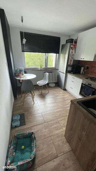 Katowice Dąbrówka Mała Wiertnicza ⭐ 52m2 / 2 pok. + balkon Do wejścia - Pełny obrazek: 5/8