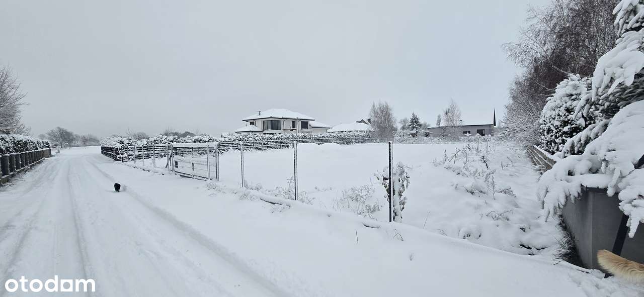 Komfortowa WILLA/DOM na obrzeżach RYPINA / Działka  38 arów..! - Pełny obrazek: 5/19