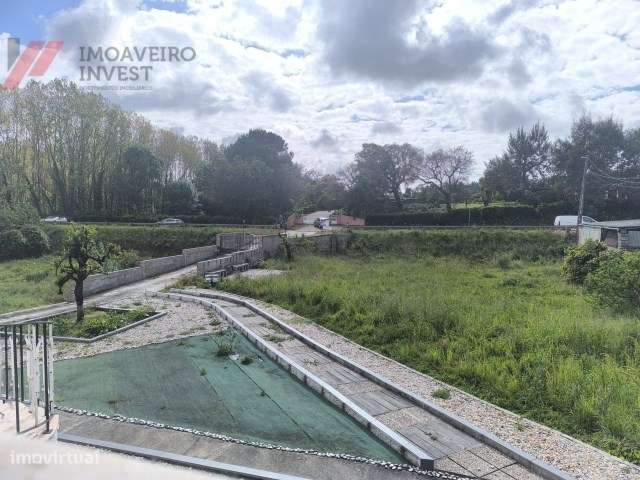 Quinta com Moradia Isolada e 4.450m² de Terreno Oiã Oliveira d Bairro-45