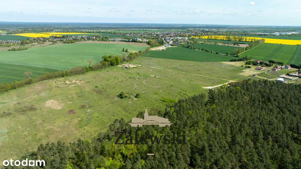 Działki na sprzedaż – Baczyna, przy lesie-5