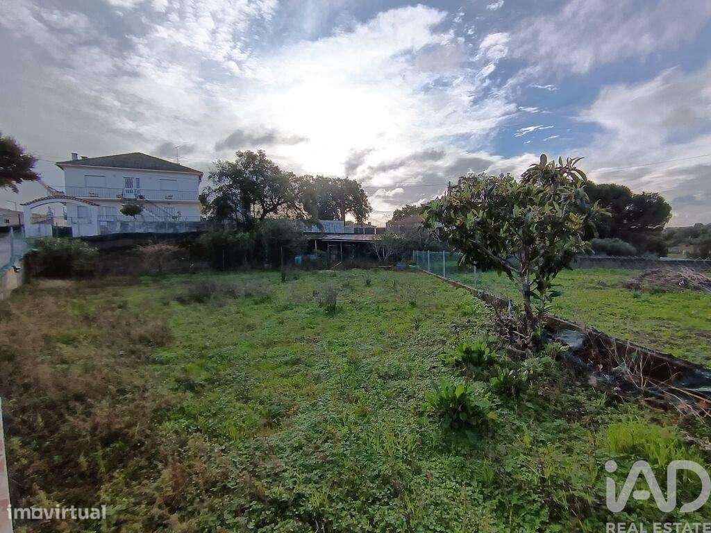 Terreno em Chancelaria - Grande imagem: 4/11