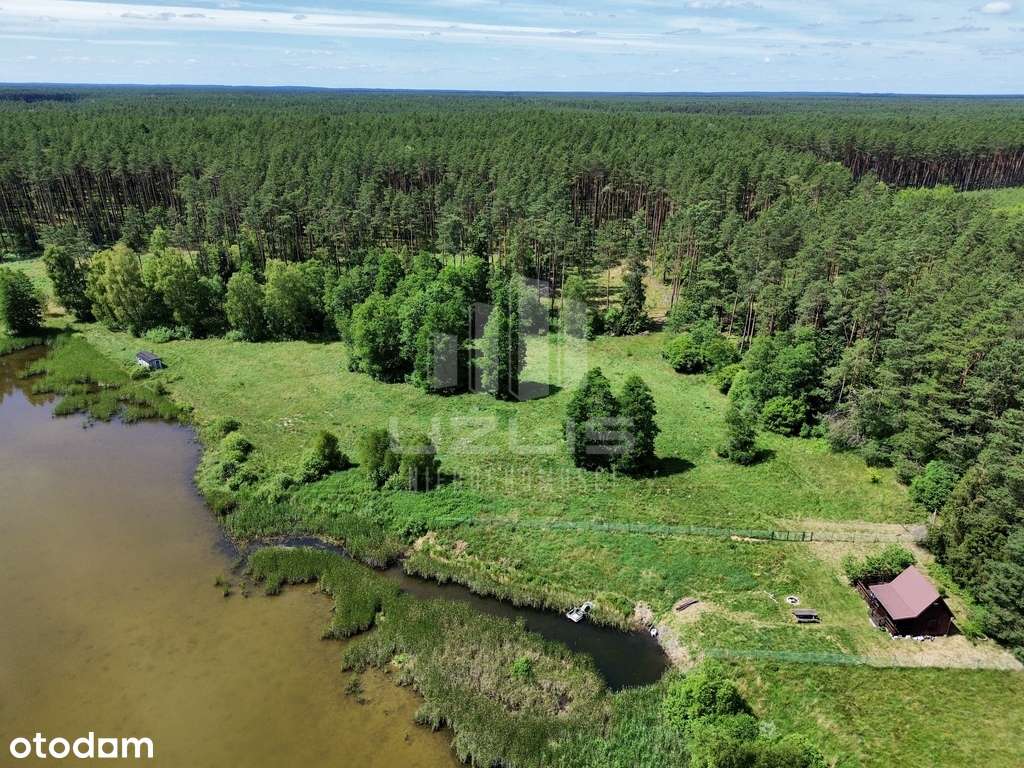 Twój azyl w Borach Tucholskich – działki w Ocyplu - Pełny obrazek: 5/13