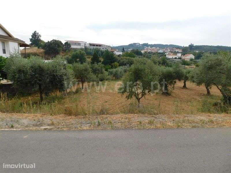 Terreno / Fundão, Salgueiro - Grande imagem: 3/3