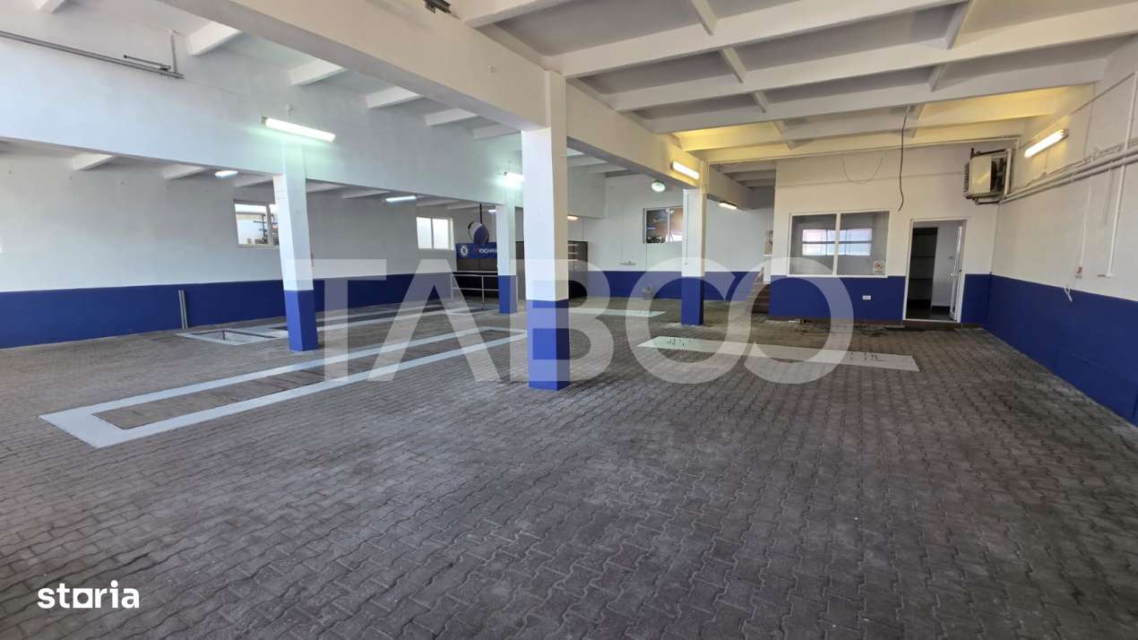 Spatiu industrial de 300 mp de inchiriat in Sebes Alba - Imagine principală: 1/12