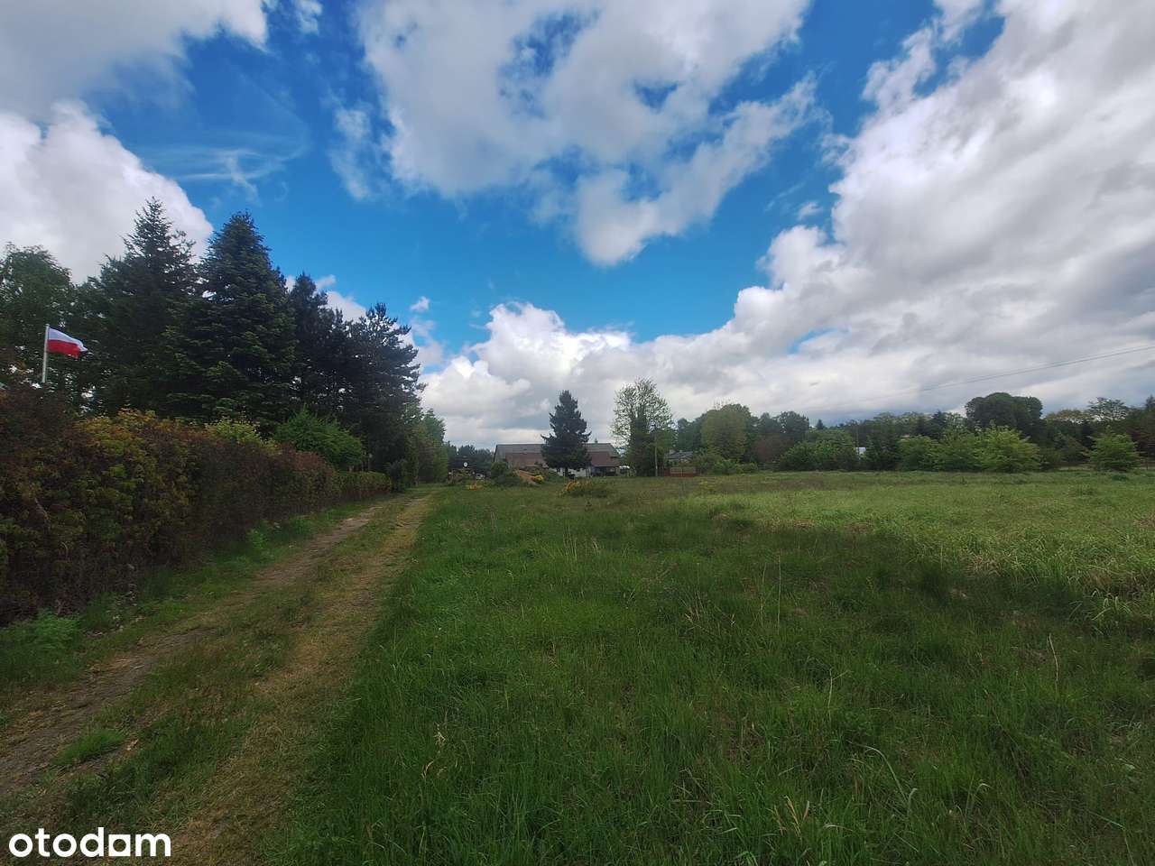 Piękna zadrzewiona działka w Zofiówce / koło Tuszyna - Pełny obrazek: 4/6