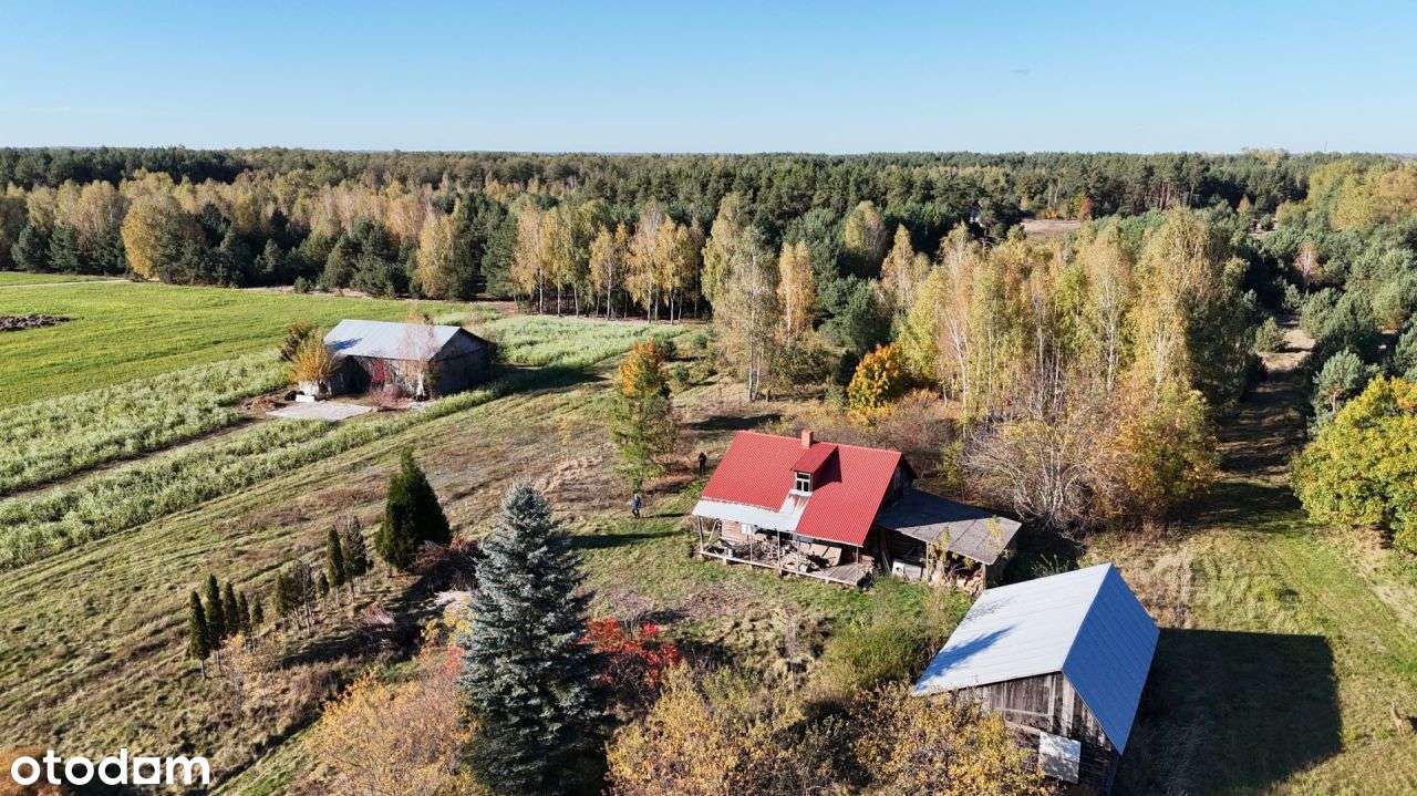 Działka, 2 647 m², Żeliszew Duży - Pełny obrazek: 5/6