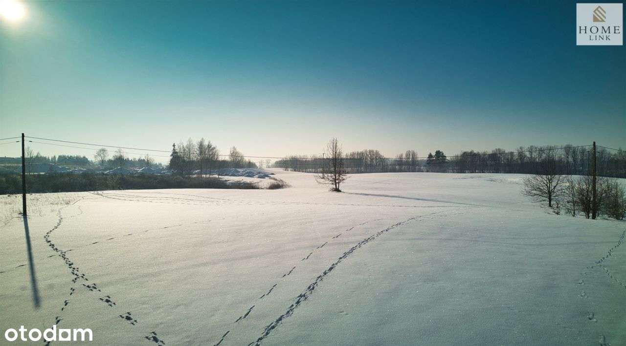 Pakiet 7 działek pod Olsztynem, Klebark Wielki-9