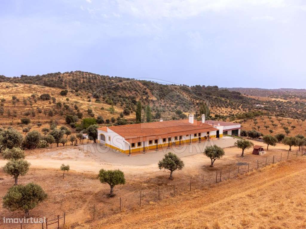 Quinta em Portel - 4,3 Ha de Tradição e Conforto-43