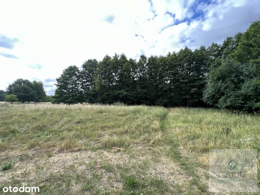 Działka w Nowym Warpnie - Pełny obrazek: 5/7