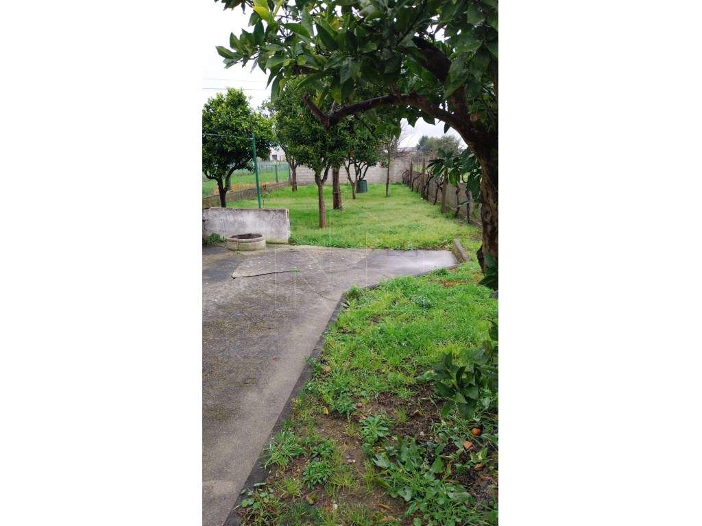 Excelente moradia t4 em Oiã-17