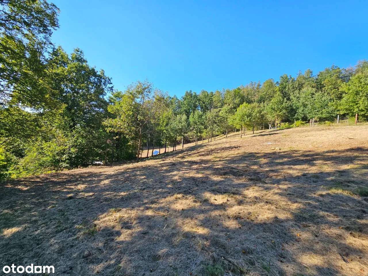 Unikalna rezydencja na przedmieściach Kłodzka-8