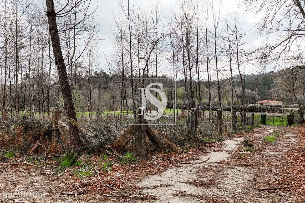 Terreno Agricola PLANO,  em Sandiães, Ponte de Lima! - Grande imagem: 4/19