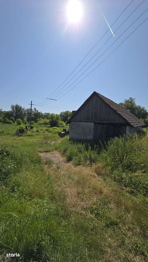 Depozit și teren în Târnava - Imagine principală: 4/7