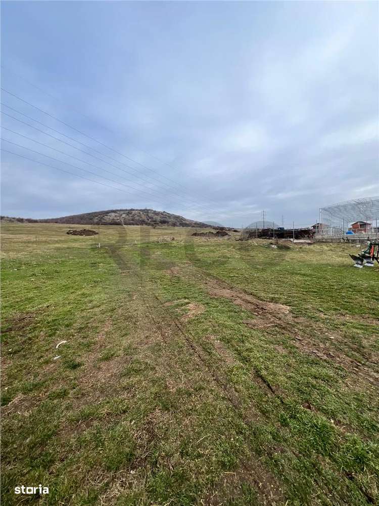 RECO teren de vanzare in zona Betfia - Imagine principală: 2/2