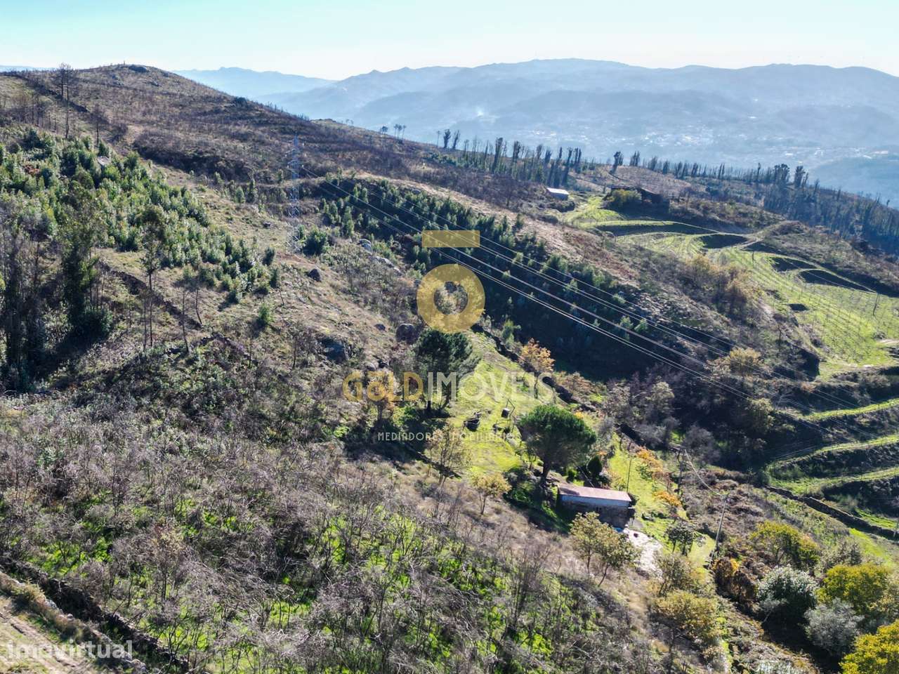 Terreno Rústico  Venda em Grilo,Baião - Grande imagem: 5/5
