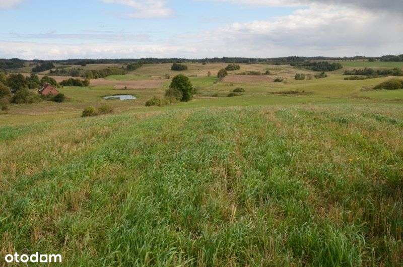 Działka rolna pod okolice Przywidz-1