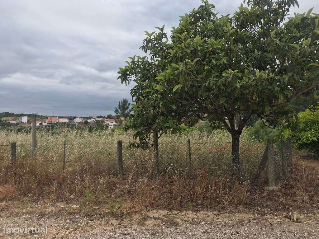 Quinta com casinha na Chancelaria, Torres Novas-20