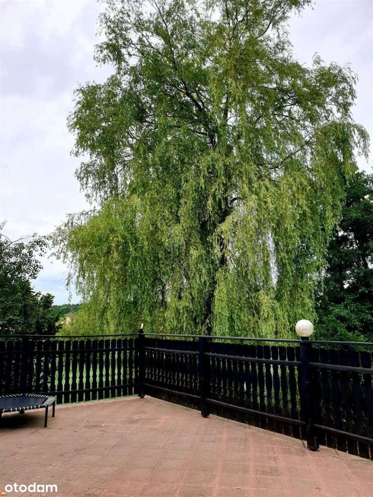 Dom przy lesie, działka ok. 3600m2-17