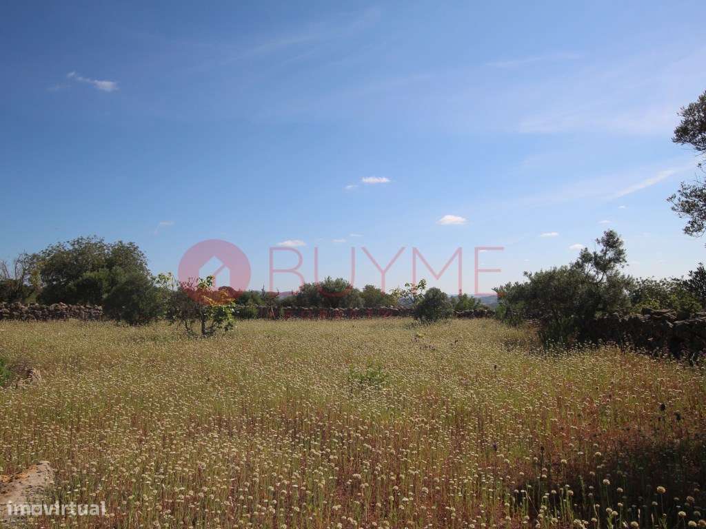 Terreno rústico com árvores mediterrânicas em São Brás de Alportel - Grande imagem: 5/7
