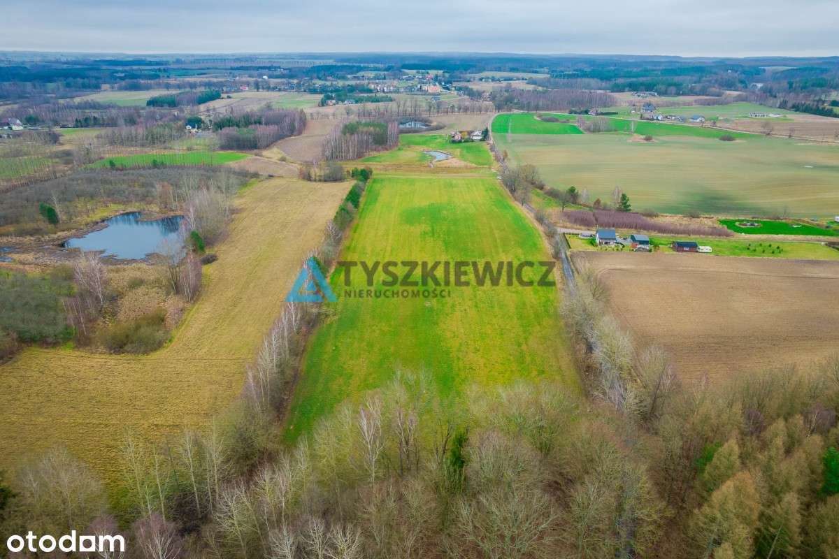 Duża działka rolna w Głodowie! - Pełny obrazek: 5/14