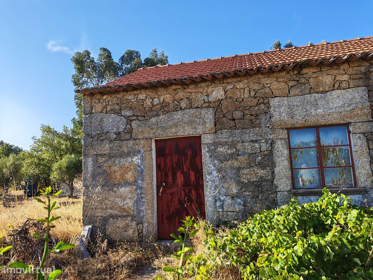 Terreno com casa - Grande imagem: 3/13