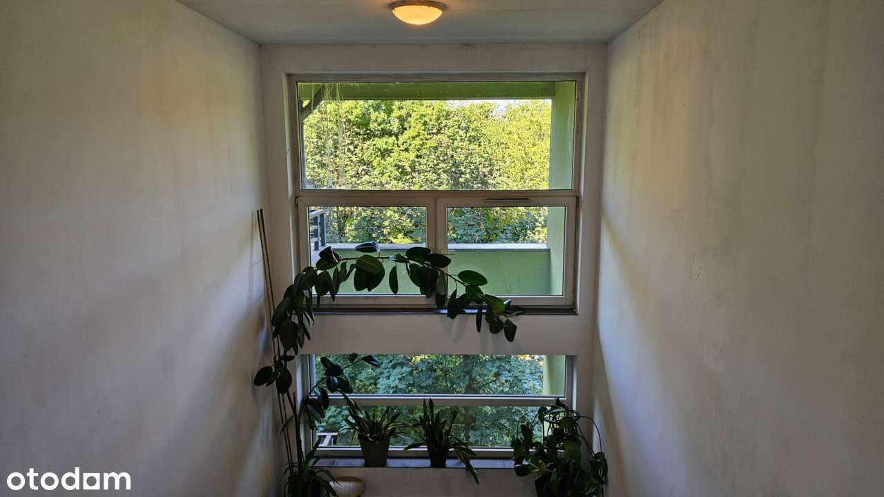 OKAZJA 81m2 TARAS 30m2+ 2 balkony dwa poziomy miejsce parkingowe-3