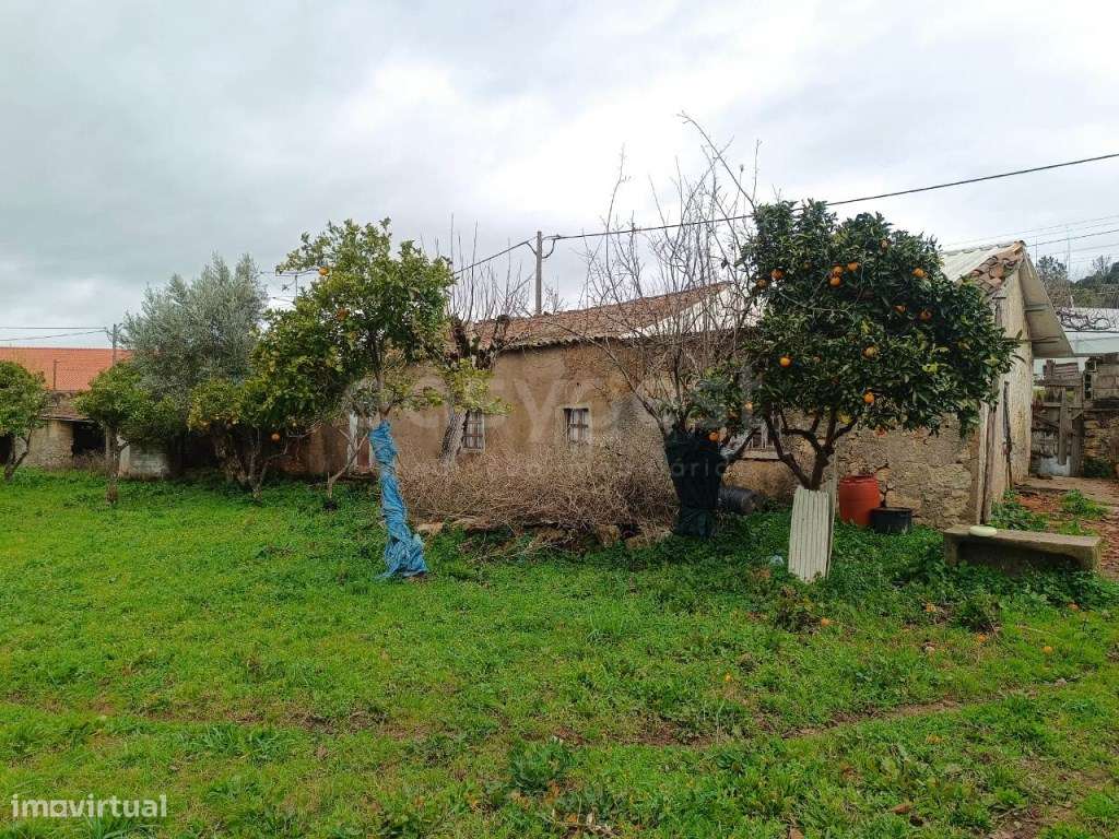Moradia para recuperar a 10km das praias fluviais do Rio Zêzere - Grande imagem: 4/13