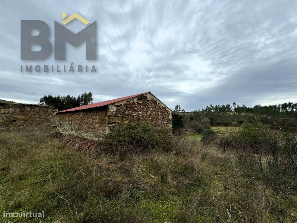 Quinta com 4.920m2 para venda em Salgueiro do Campo! - Grande imagem: 3/11