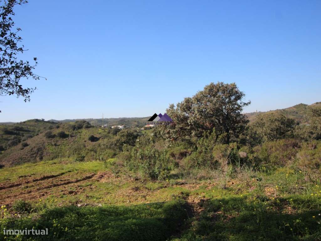Terreno Rústico | 34.000 m² | Corga da Madeira - Junqueira, Castro ...-5