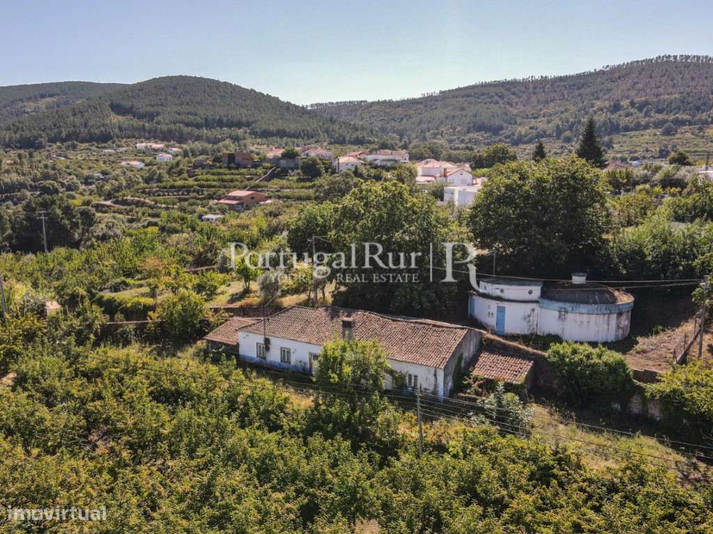 Quinta de 4 ha com 3 casas e cerejeiras no Fundão, ideal para turismo-57