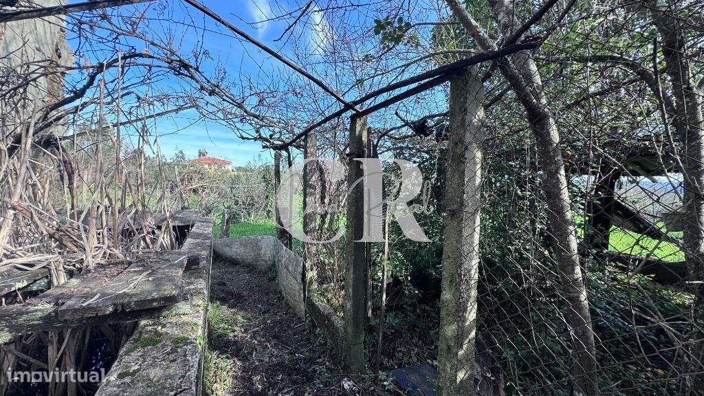 Quinta com casas de pedra para recuperar, poço e furo-26