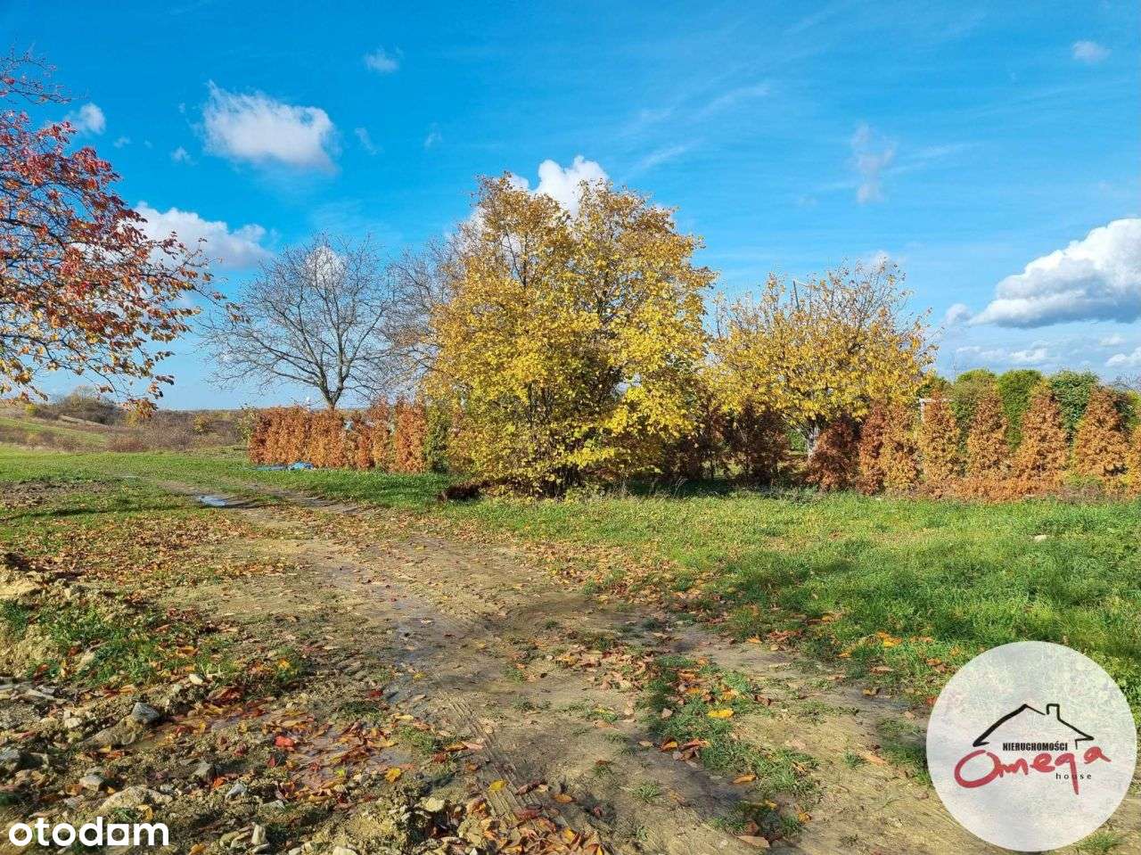 Rodzinny dom z potencjałem-13