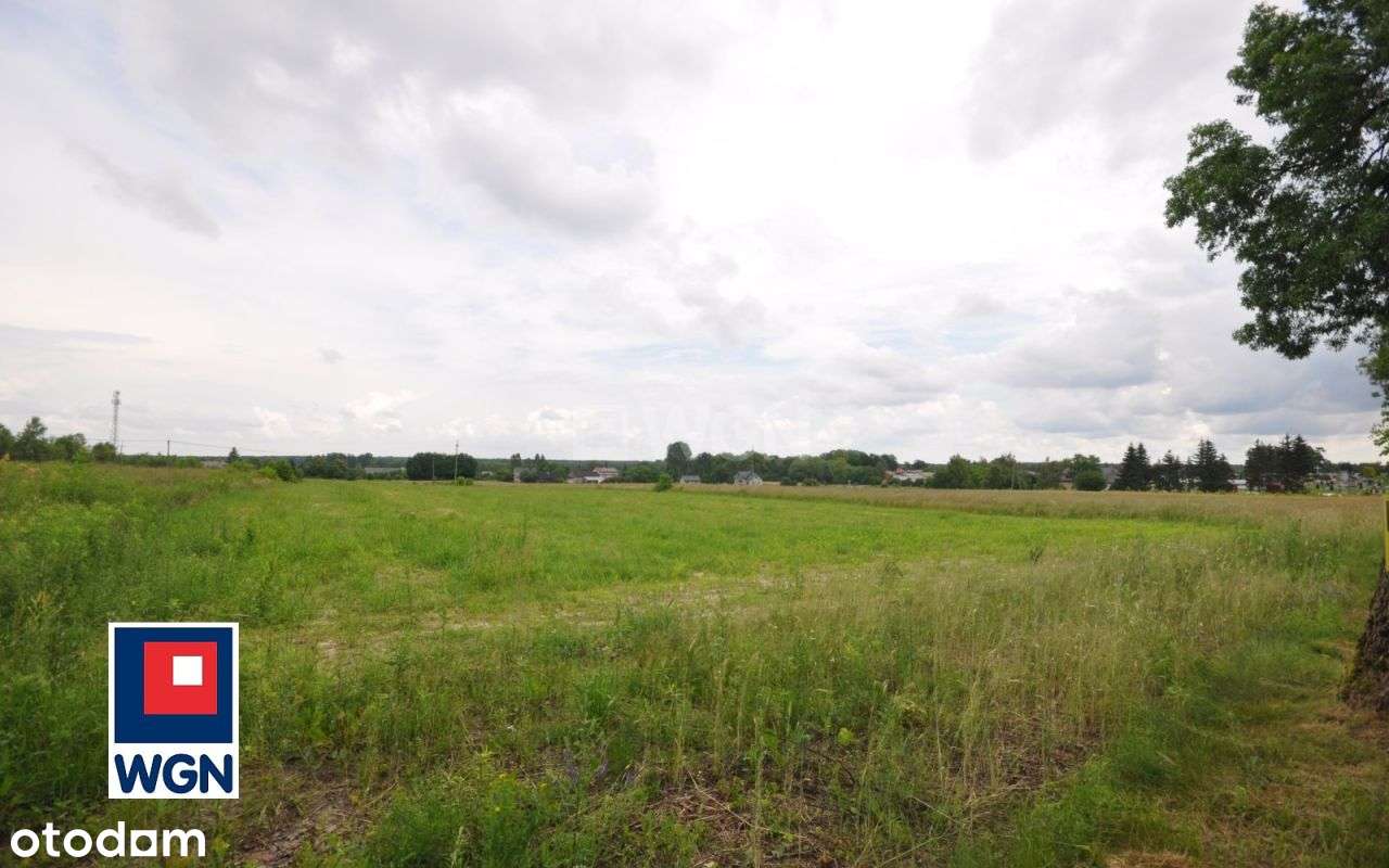 Działka, 2 826 m², Kodrąb-11