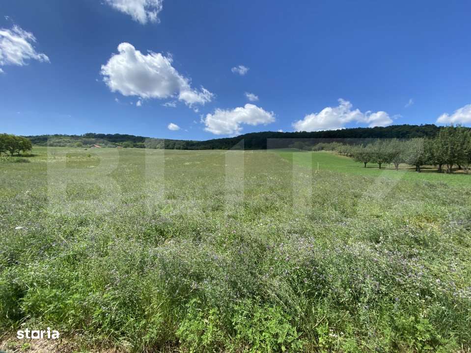 Teren intravilan in suparafat de 19213 mp, zona Valea Mitii - Imagine principală: 3/5