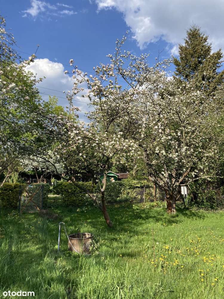 Działka ROD, Dmowskiego, przy pętli Górczyn-9