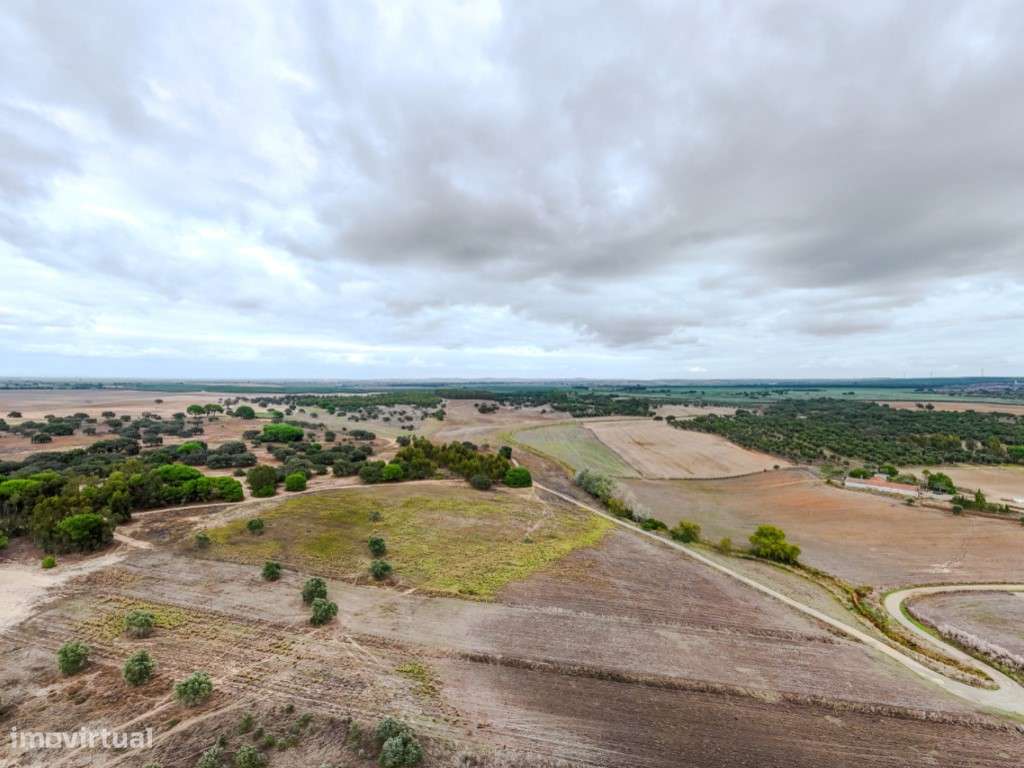 TERRENO DE 22,45 HA COM RUÍNA DE 240 M² PARA RECUPERAÇÃO EM FERREIR...-24