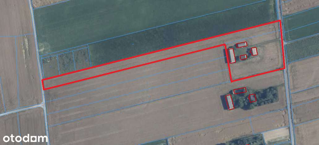 Ucieknij od zgiełku – siedlisko z potencjałem blisko miasta - Pełny obrazek: 2/8