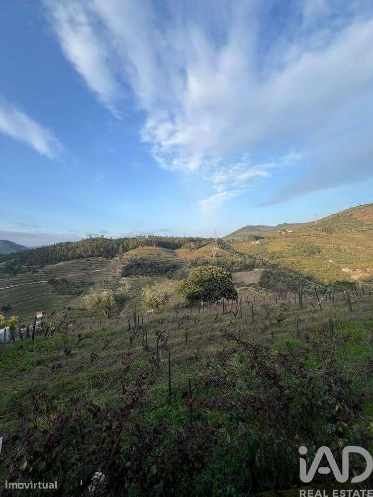 Casa / Villa em Vacalar de 168 m2 - Grande imagem: 3/6