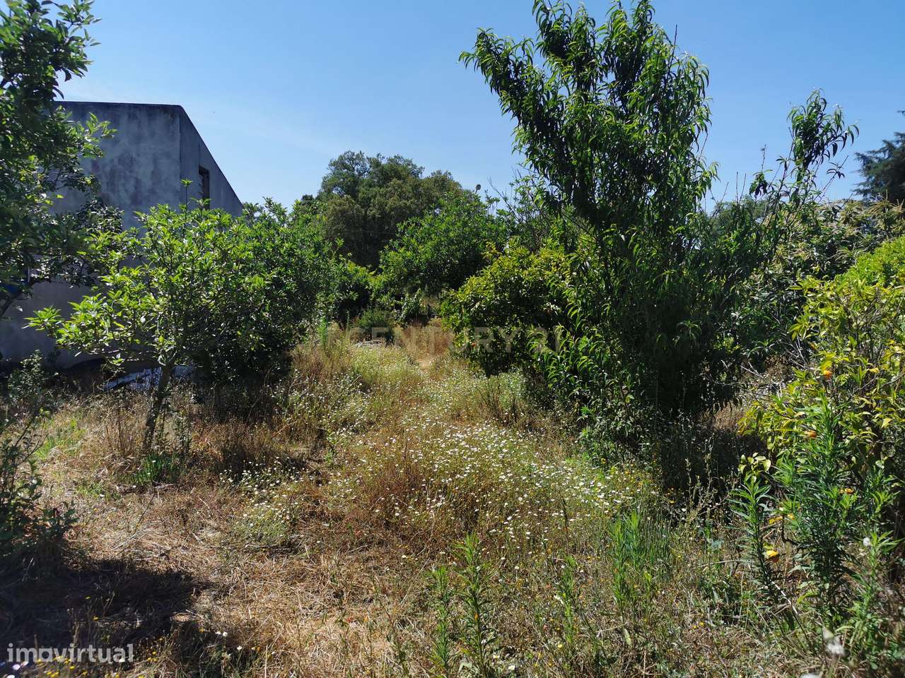Terreno Urbano 1250m2  urbanos Olhos de Agua -   Palmela Venha constru - Grande imagem: 3/5