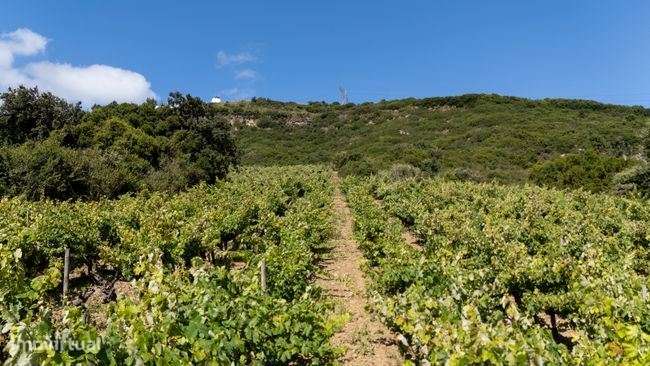 Terreno Rústico com 35.880m² em Sobral Monte Agraço - Grande imagem: 4/7