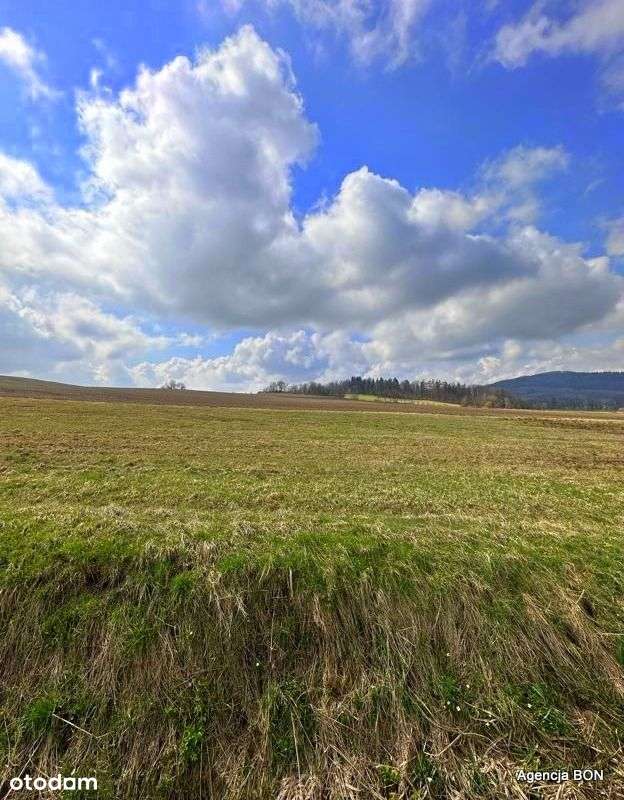 Działka w górach, okolice Karpacza-6