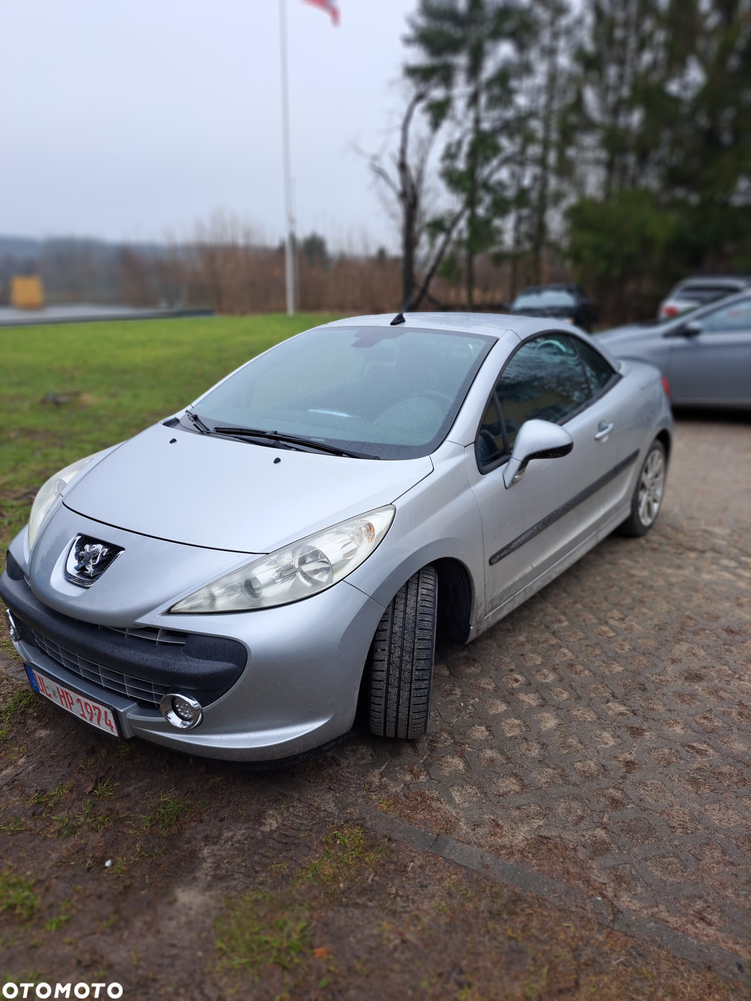 Peugeot 207 CC - 3