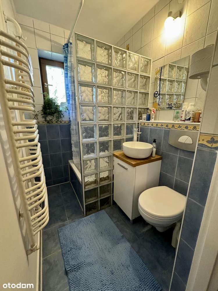 Urokliwa nieruchomość w gminie Radziejowice-14