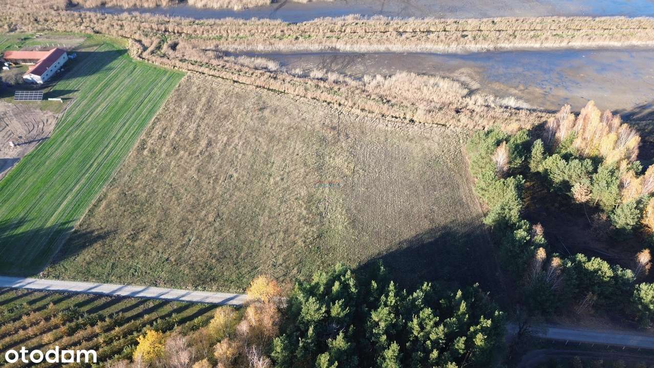 Działka, 14677.0 m², Kolonia Jurki - Pełny obrazek: 5/10