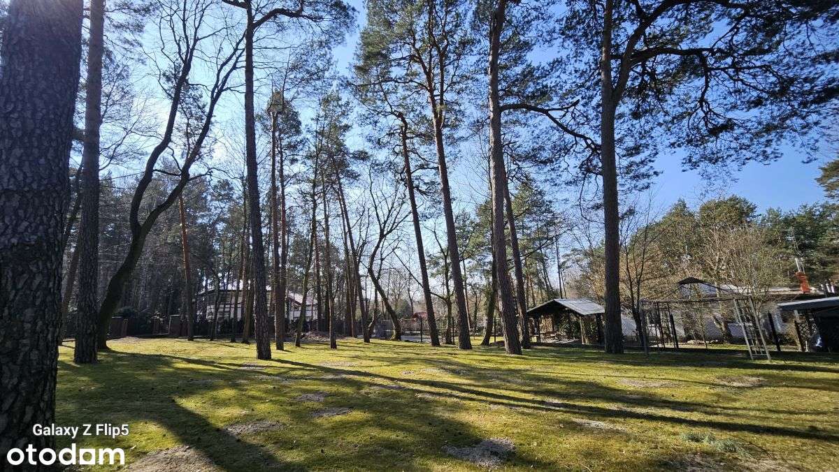 Dom 450 m2 otoczony starodrzewiem-14